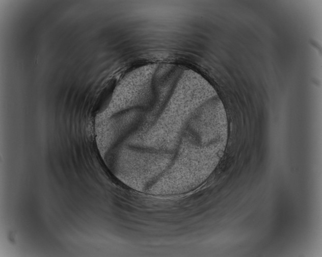 X0000092210048200710121138