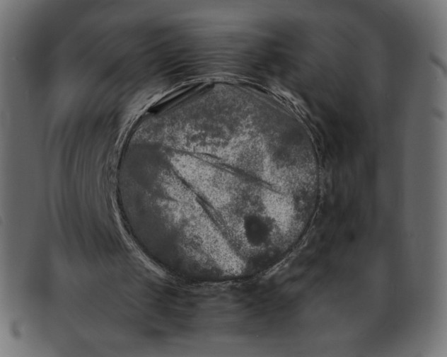 X0000092210049200710121137