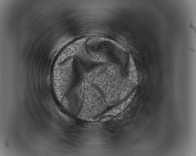 X0000092210050200710121137