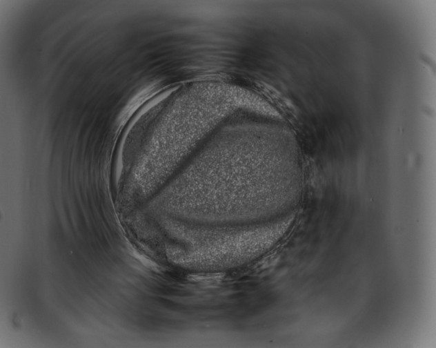 X0000092210051200710121137
