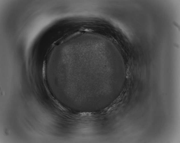 X0000092210052200710121137