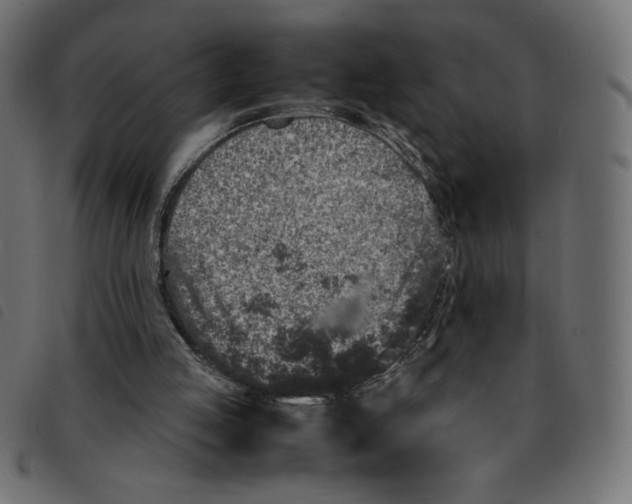 X0000092210053200710121137