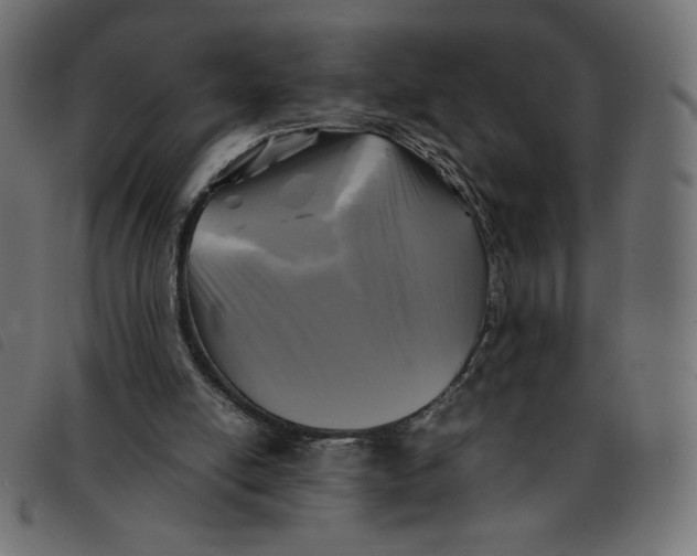 X0000092210054200710121137