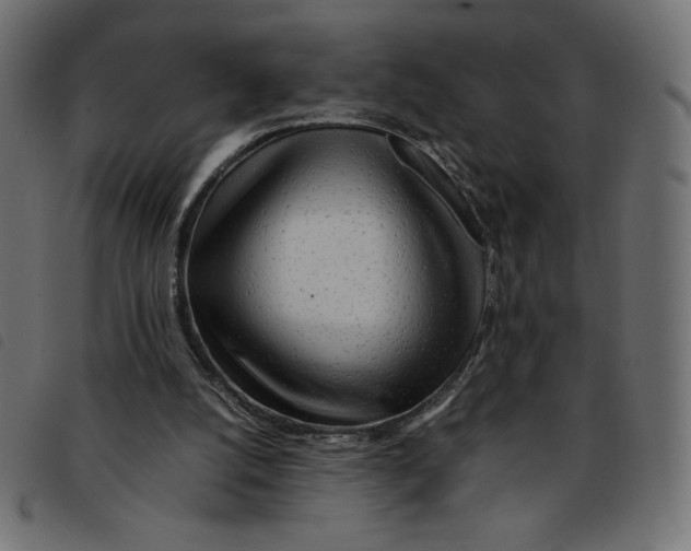 X0000092210056200710121137