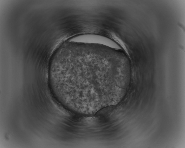 X0000092210059200710121137