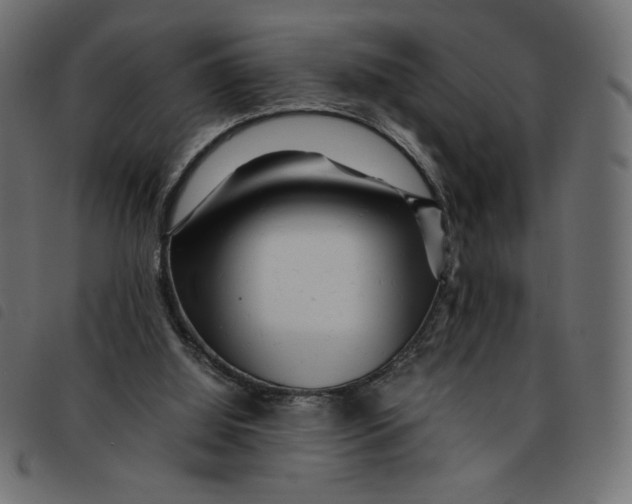 X0000092210060200710121137