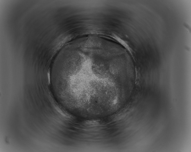 X0000092210061200710121137
