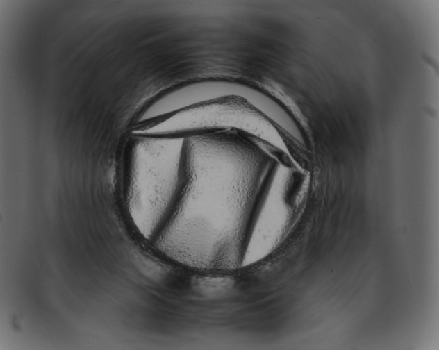 X0000092210063200710121137