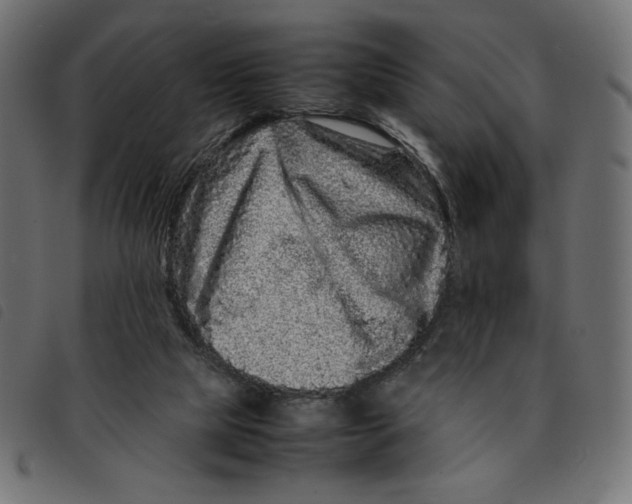 X0000092210065200710121137