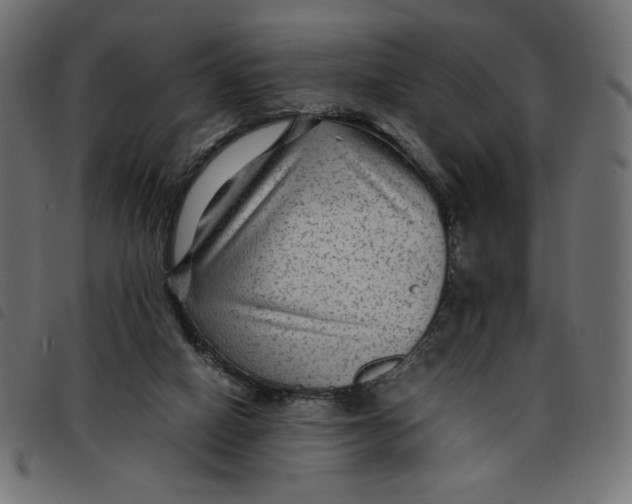 X0000092210066200710121137