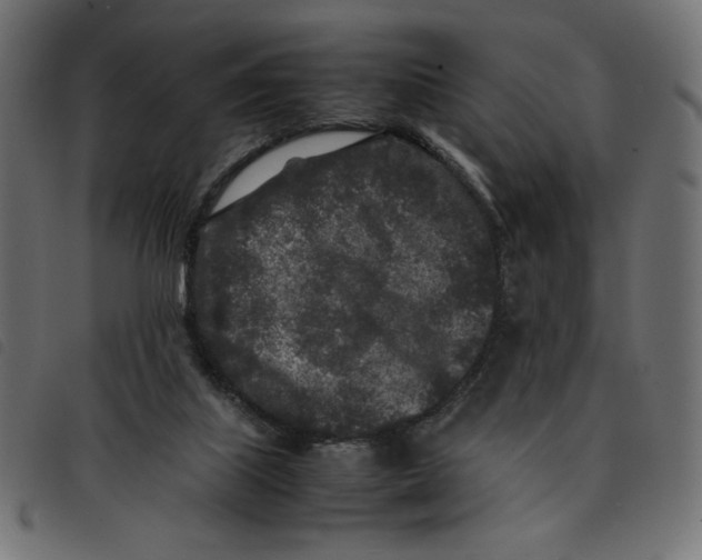 X0000092210067200710121137