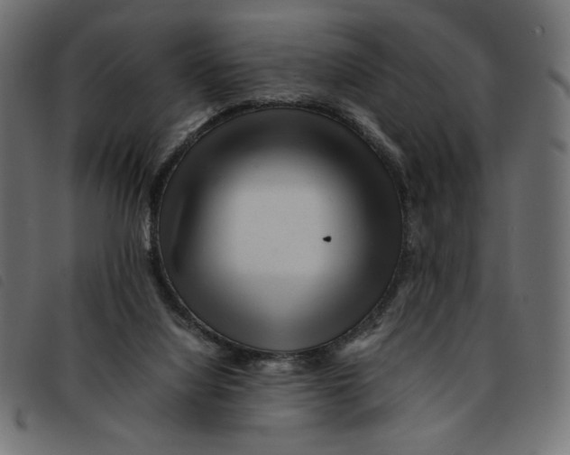 X0000092210068200710121137