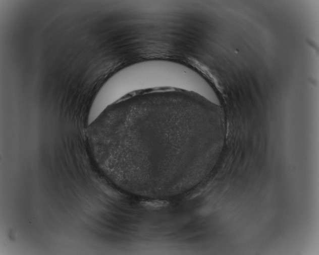 X0000092210069200710121138