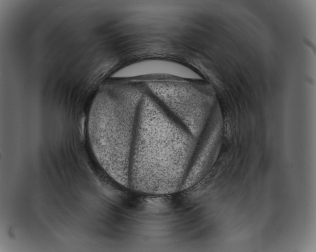 X0000092210070200710121138