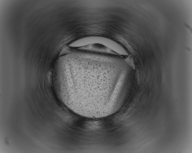 X0000092210071200710121138