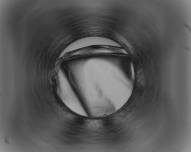 X0000092210073200710121138