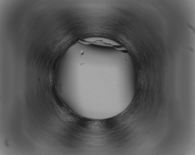 X0000092210074200710121138