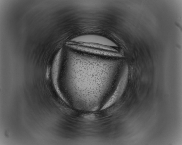 X0000092210075200710121138