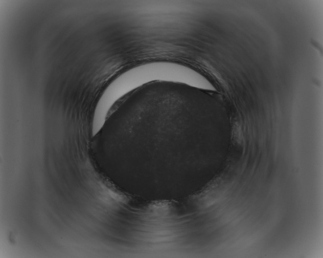 X0000092210076200710121138