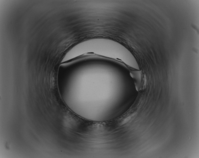 X0000092210080200710121138