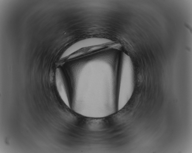 X0000092210081200710121138