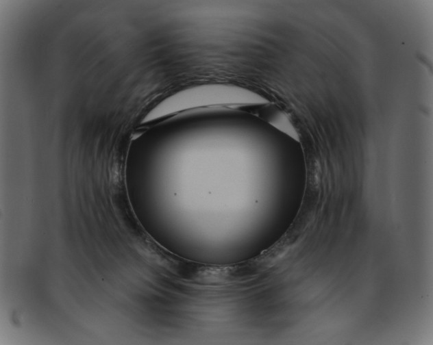X0000092210084200710121138