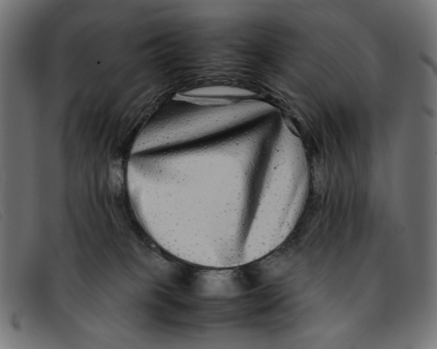 X0000092210085200710121138