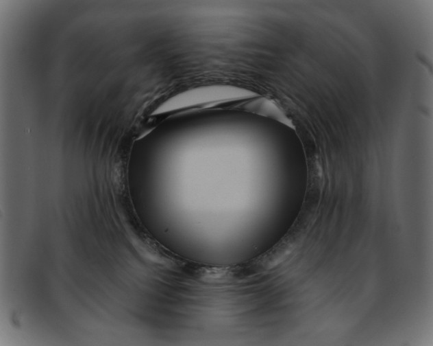 X0000092210088200710121138