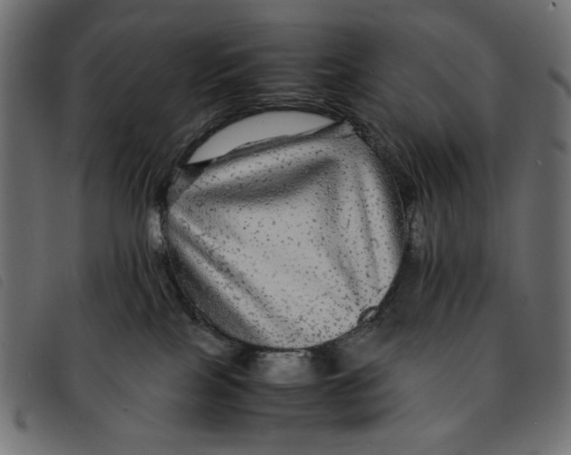 X0000092210089200710121138