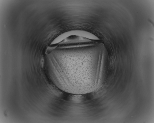 X0000092210090200710121138