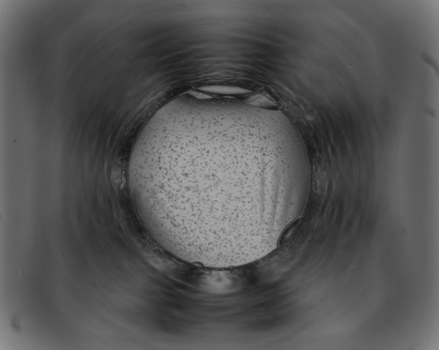 X0000092210091200710121138