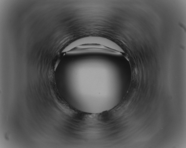 X0000092210092200710121138