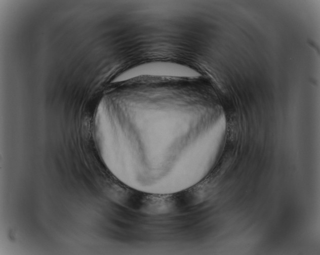 X0000092210093200710121138