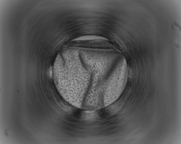 X0000092210095200710121138