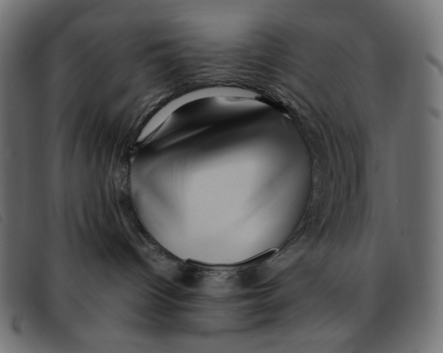 X0000092210096200710121138