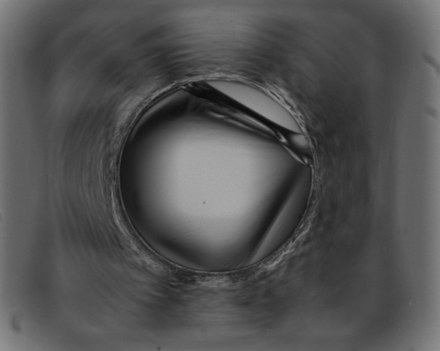 X0000092210097200710121137