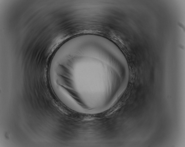 X0000092210098200710121137