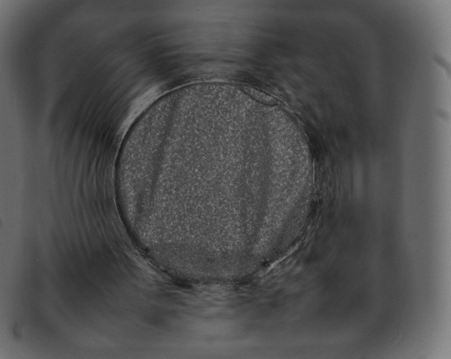 X0000092210099200710121137