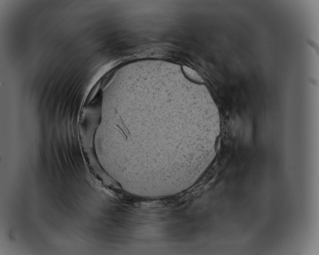 X0000092210100200710121137