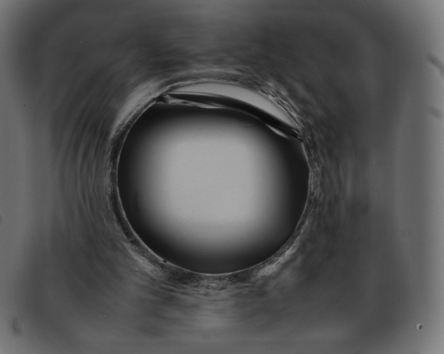 X0000092210101200710121137