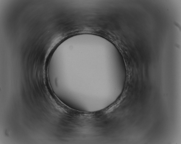 X0000092210102200710121137