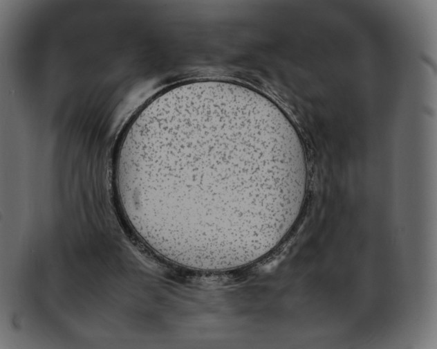 X0000092210103200710121137