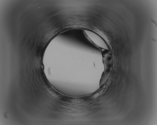 X0000092210105200710121137