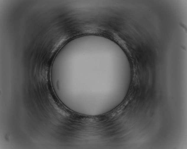 X0000092210106200710121137