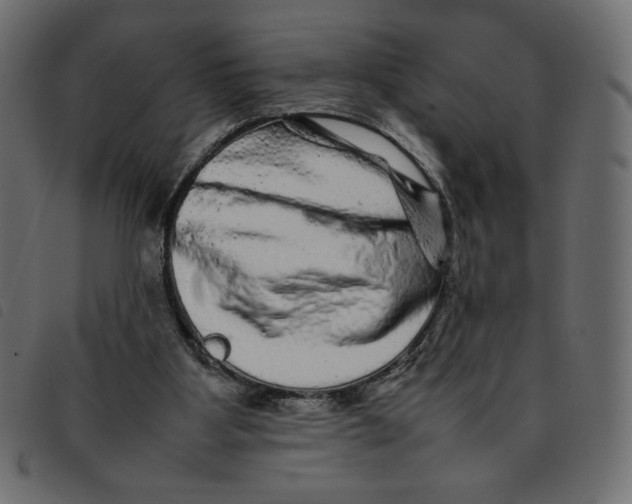 X0000092210107200710121137