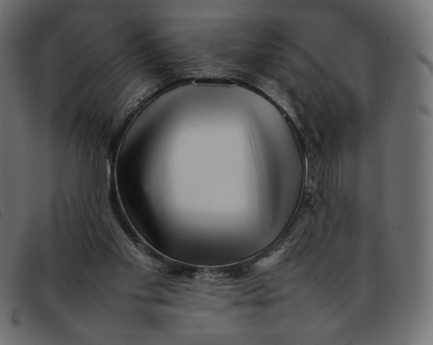 X0000092210109200710121137