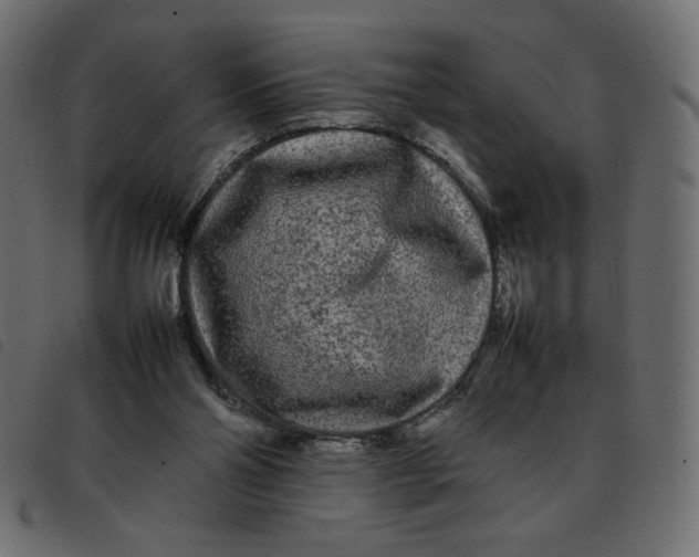 X0000092210110200710121137