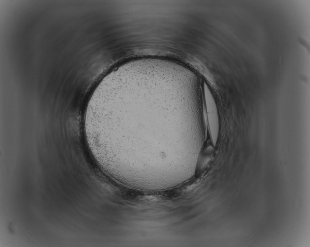 X0000092210111200710121137