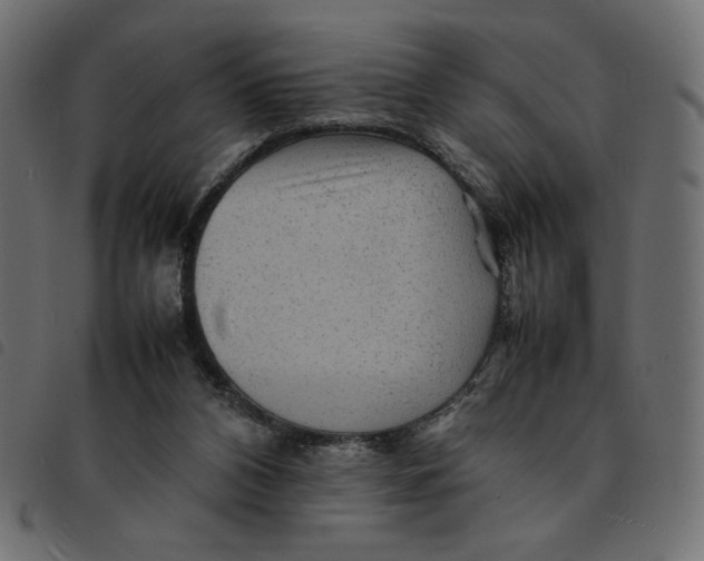 X0000092210112200710121137