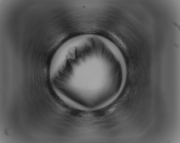 X0000092210113200710121137